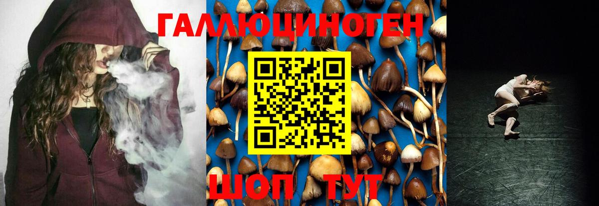 Галлюциногенные грибы GOLDEN TEACHER  Псилоцибиновые грибы мухоморы  Чебаркуль  Вход с VPN 